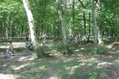 gal/GP_VTT_Hettange_2_juillet_2006/_thb_GP HETTANGE VTT 2006 066.jpg